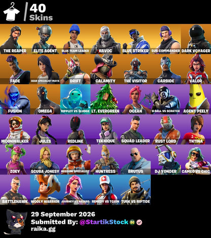 🎮 Cuenta Fortnite