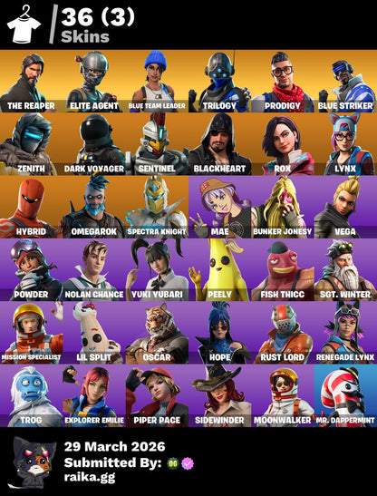 🎮 Cuenta Fortnite