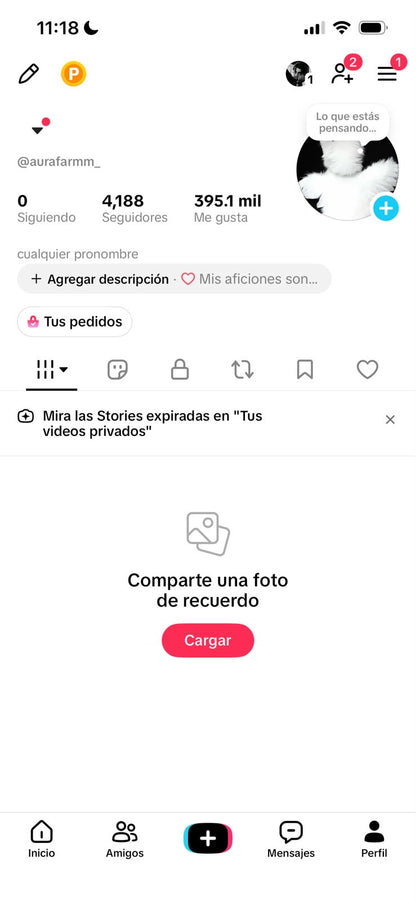 📱 Cuenta TikTok