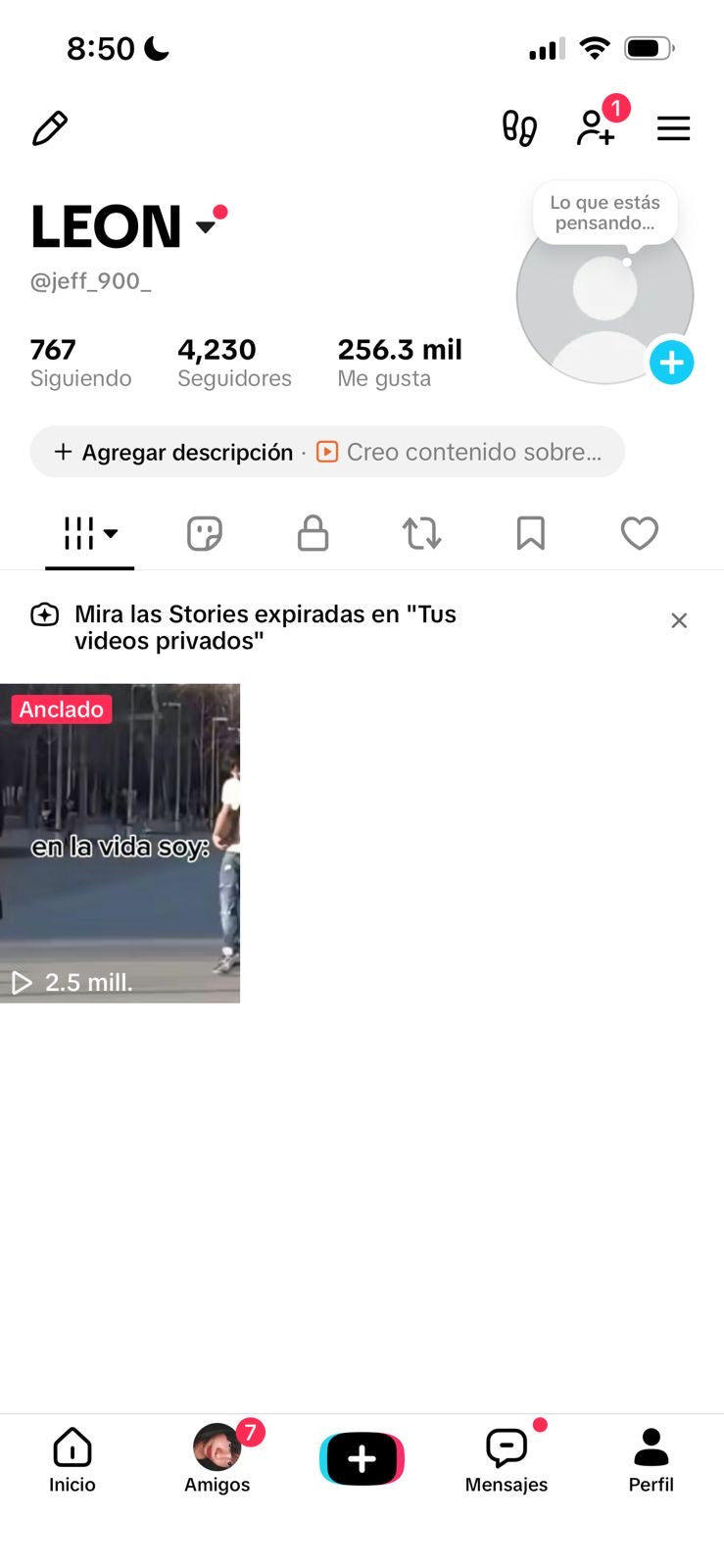 📱 Cuenta TikTok