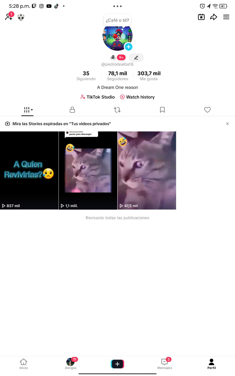 📱 Cuenta TikTok