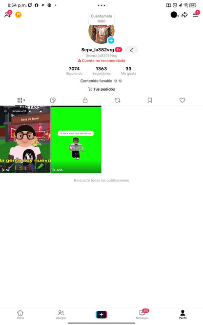 📱 Cuenta TikTok