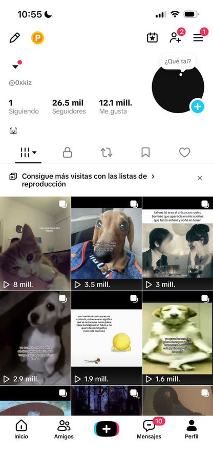 📱 Cuenta TikTok