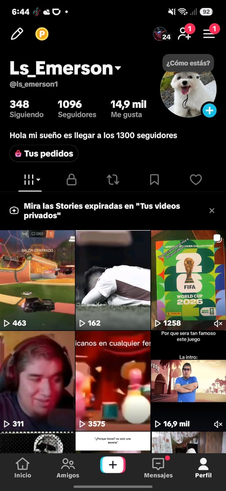 📱 Cuenta TikTok
