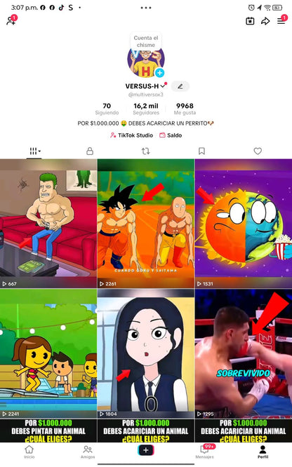 📱 Cuenta TikTok