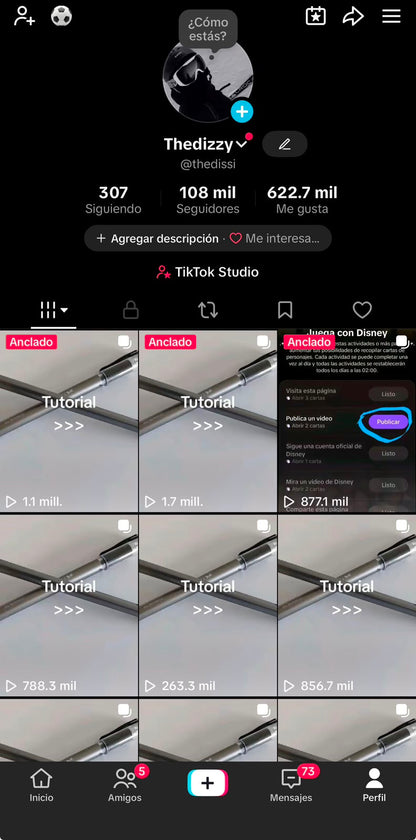 📱 Cuenta TikTok
