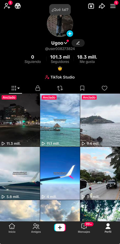 📱 Cuenta TikTok