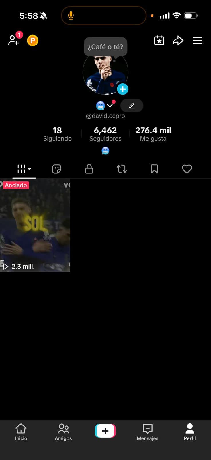 133 TIKTOK! 6,462 SEGUIDORES Y SI TIENE PERMISO PARA HACER LIVES! +270k LIKES! BUENISIMA! (899mx @everyone
