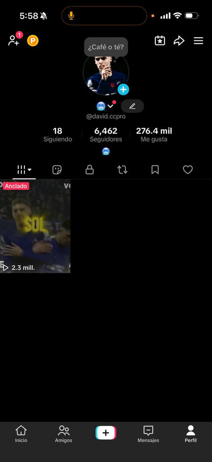 133 TIKTOK! 6,462 SEGUIDORES Y SI TIENE PERMISO PARA HACER LIVES! +270k LIKES! BUENISIMA! (899mx @everyone