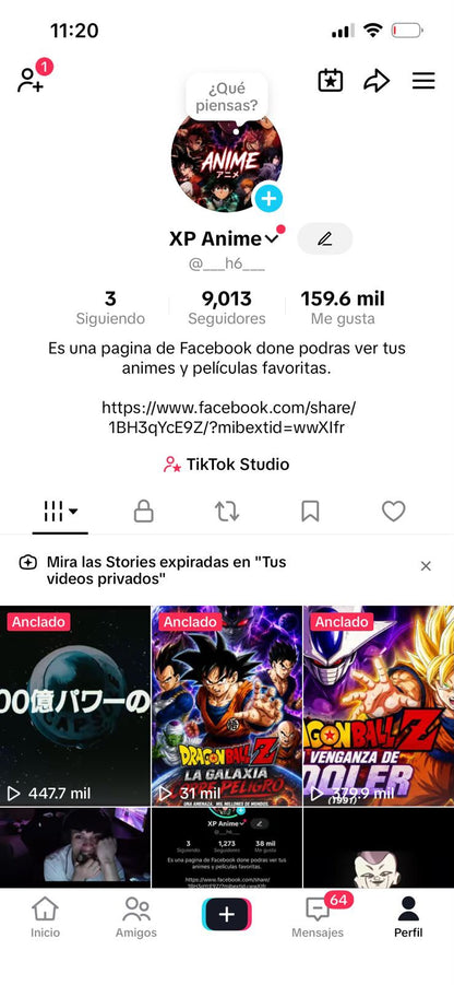 📱 Cuenta TikTok