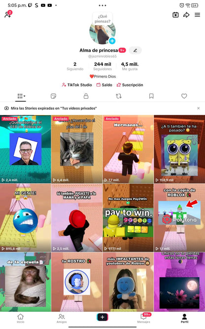 📱 Cuenta TikTok