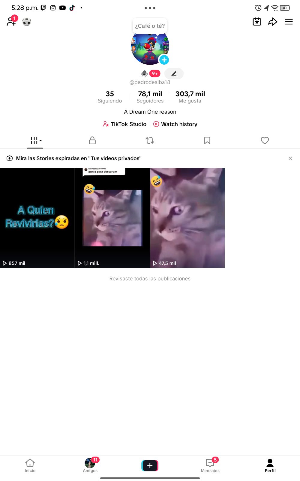 📱 Cuenta TikTok