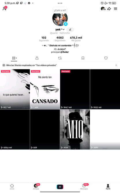 📱 Cuenta TikTok