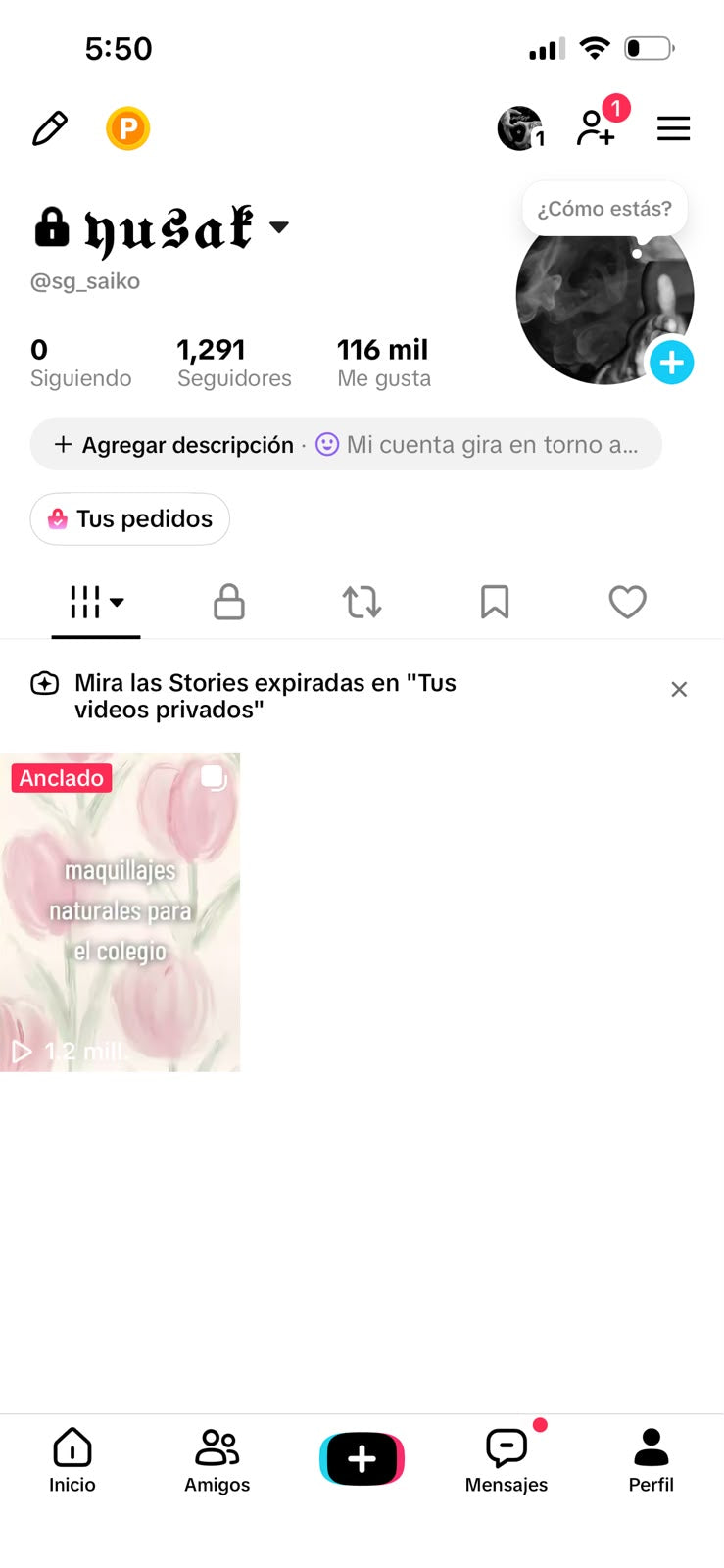 📱 Cuenta TikTok