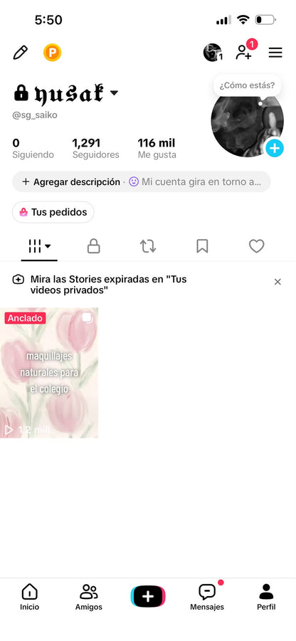 📱 Cuenta TikTok