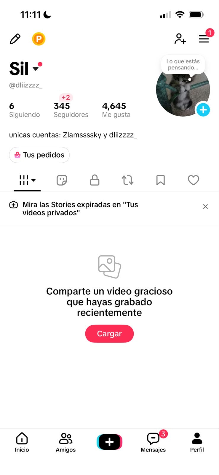 📱 Cuenta TikTok